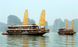 halong bay cruises