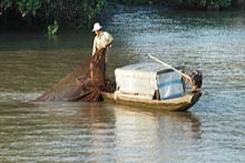 amazing mekong delta tours