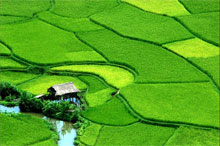 Best Hanoi countryside tours