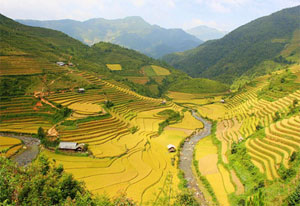 Vietnam tour packages