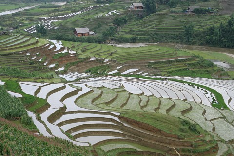 sapa tours