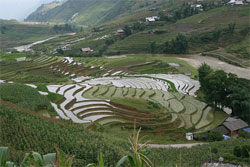 Sapa Vietnam Tour from Bangkok