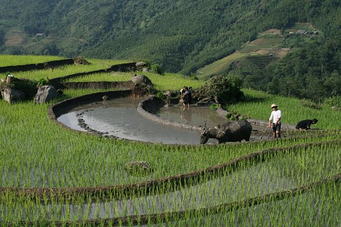 5day Sapa Vietnam Tour from Adelaide - Australia