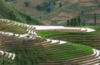 Sapa tours is best of Vietnam holidays