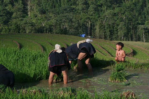 sapa tours are best of holidays in Vietnam