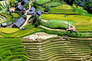 travel to sapa for unfogettable Vietnam trip