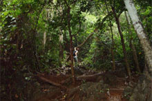 trekking in vietnam