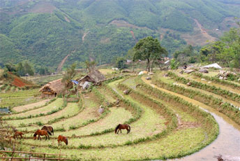 sapa tours highlight Vietnam travel packages