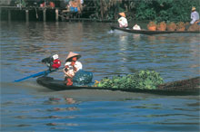 Mekong tours