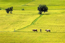 travel vietnam