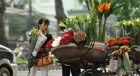 vietnam package tours